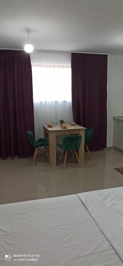 Appartement Garsoniera De La Mare à Mangalia Extérieur photo
